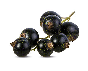 Fresh black-currants isolated on white background with clipping path