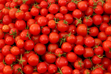 Massive red tomatoes and Floos in the sales queue