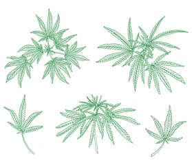 Decorative set of big branch hemp and green leaves