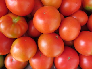 Beautiful tomatoes of nice color and delicious taste
