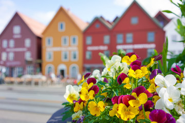 Das Hafenviertel Bryggen mit seinen hölzernen Häusern in Bergen, Norwegen