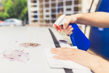 Man hands cleaning and spaying car exterior. Shit bird dropping on car roof.