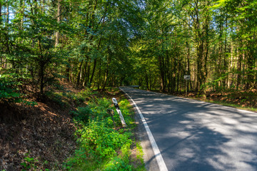 a dangerous country road in a forest of reindeer just so teeming in germany