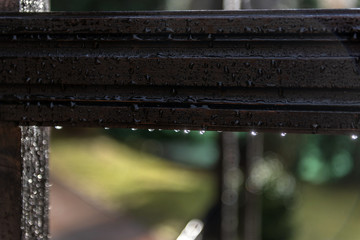 rain drops on wood in front of colorful background - detail
