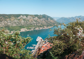 Cityscape of old city Kotor, bay in Adriatic sea surrounded by mountains, Montenegro. Panoramic view from above