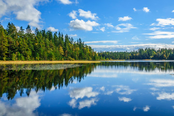 Naklejka na ściany i meble Beautiful Forest lake with reflections in the water in late summer