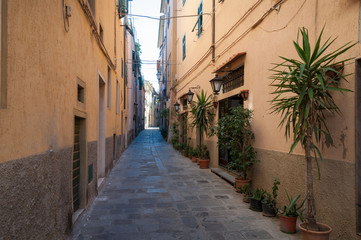 Fototapeta na wymiar Narrow Italian street with cobble stone path and plants in flowerpots