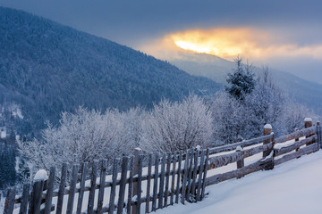 Fototapeta premium rural countryside in winter. beautiful sunrise with cloudy sky in mountains. wooden fence along the snow covered hill. trees in hoarfrost