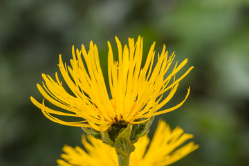 Outdoor nature sunset light