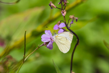 Outdoor nature sunset light