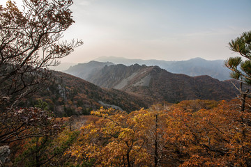 자연풍경-가을산,나무,단풍4(울산바위)