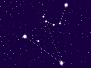 Obraz na płótnie Canvas Hydrus constellation. Starry night sky. Zodiac sign. Cluster of stars and galaxies. Deep space. Vector illustration
