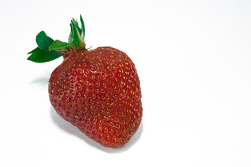 Erdbeere