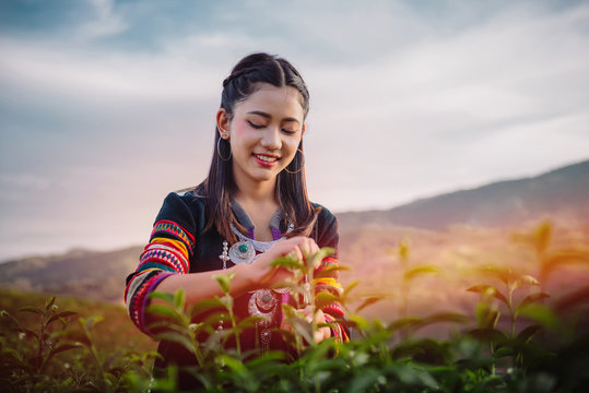 winter fall beauty native teen girl and friend women student travel in tea farm at the countryside "chiang rai" province. sunset view. she smile happy a small trip in North Thailand, Asian. 
