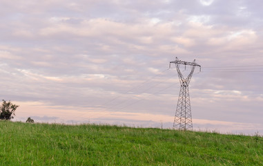 The green grass and the power tower at the end of the afternoon