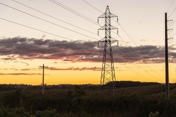 The tower and the power poles