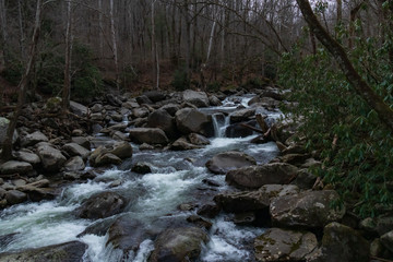 Cascading mountain stream in Great Smoky Mountains National Park