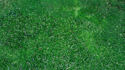 Aerial view glass bottles at the garbage dump, Recycling glass bottles.