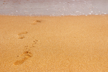 Footprints from children's feet in the clear sea sand