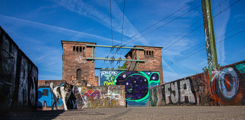 grafitti on bridge with dog
