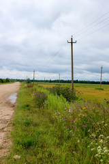 Fototapeta na wymiar Rural landscape with dirt road field of rye and blue sky