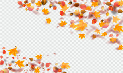 Autumn leaves falling. Vector stock.