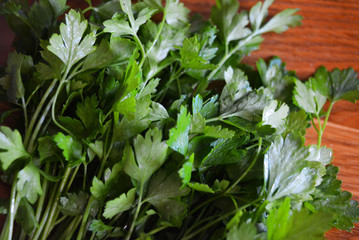 Bunches of green washed fresh parsley laid out on a wooden kitchen board.