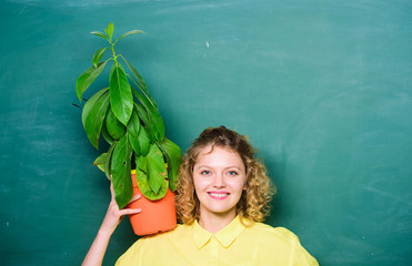 Easy houseplants. Houseplants benefits and positive influence on health. Take good care...