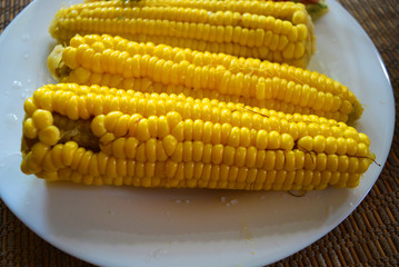 Delicious yellow sweet corn rolls with fresh vegetable salad served on a white glass plate.