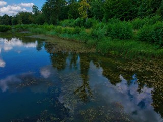 reflection of trees in the water