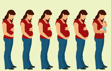 Obraz premium Pregnancy Stages and Infant