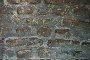 Backstein