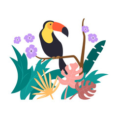 Colorful toucan on the white background.