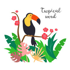 Obraz na płótnie Canvas Colorful toucan on the white background.
