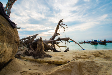 Sea beach morning sunrise colorful sky