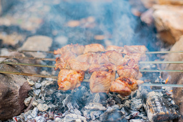 Grilled shish kebab on skewer. Roasted beef meat cooked at barbecue. Traditional eastern dish shashlik.