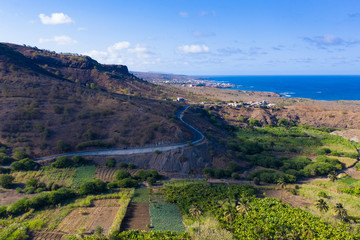 Fototapeta na wymiar Coconut and sugar canne plantation near Calheta Sao Miguel in Santiago Island in Cape Verde - Cabo Verde