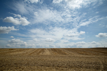 field and blue sky