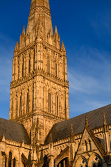 Obraz premium Spire of Salisbury Cathedral in red light at sundown in Salisbury England