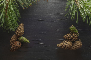 pine cones and pine cones