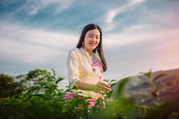 winter fall beauty native teen girl and friend women student travel in tea farm at the countryside "chiang rai" province. sunset view. she smile happy a small trip in North Thailand, Asian. 