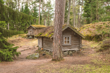 fabulous little wooden old houses with grass roofs in a pine forest