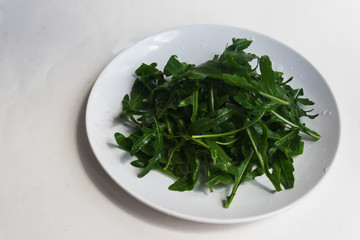Fresh rucola on a plate. Candid.