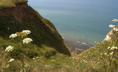 paysage sauvage des falaises normande à étretat 