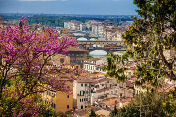 View of the beautiful city of Florence from the Giardino delle rose in an early spring day