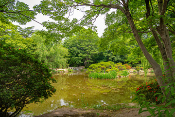 Japanese style garden and pond in South Korea