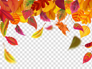 Fototapeta na wymiar Autumn leaves fall. Falling blurred leaf, autumnal foliage fall and wind rises yellow leaves isolated vector illustration