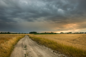 Sandy road through fields and dark rainy clouds in the sky