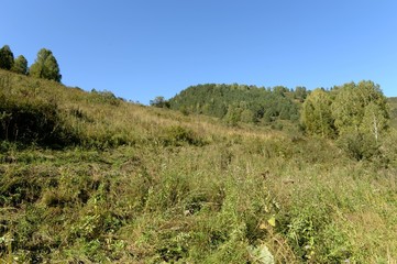   Early morning in the mountains of Altai Krai. Western Siberia 