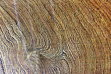 wooden texture